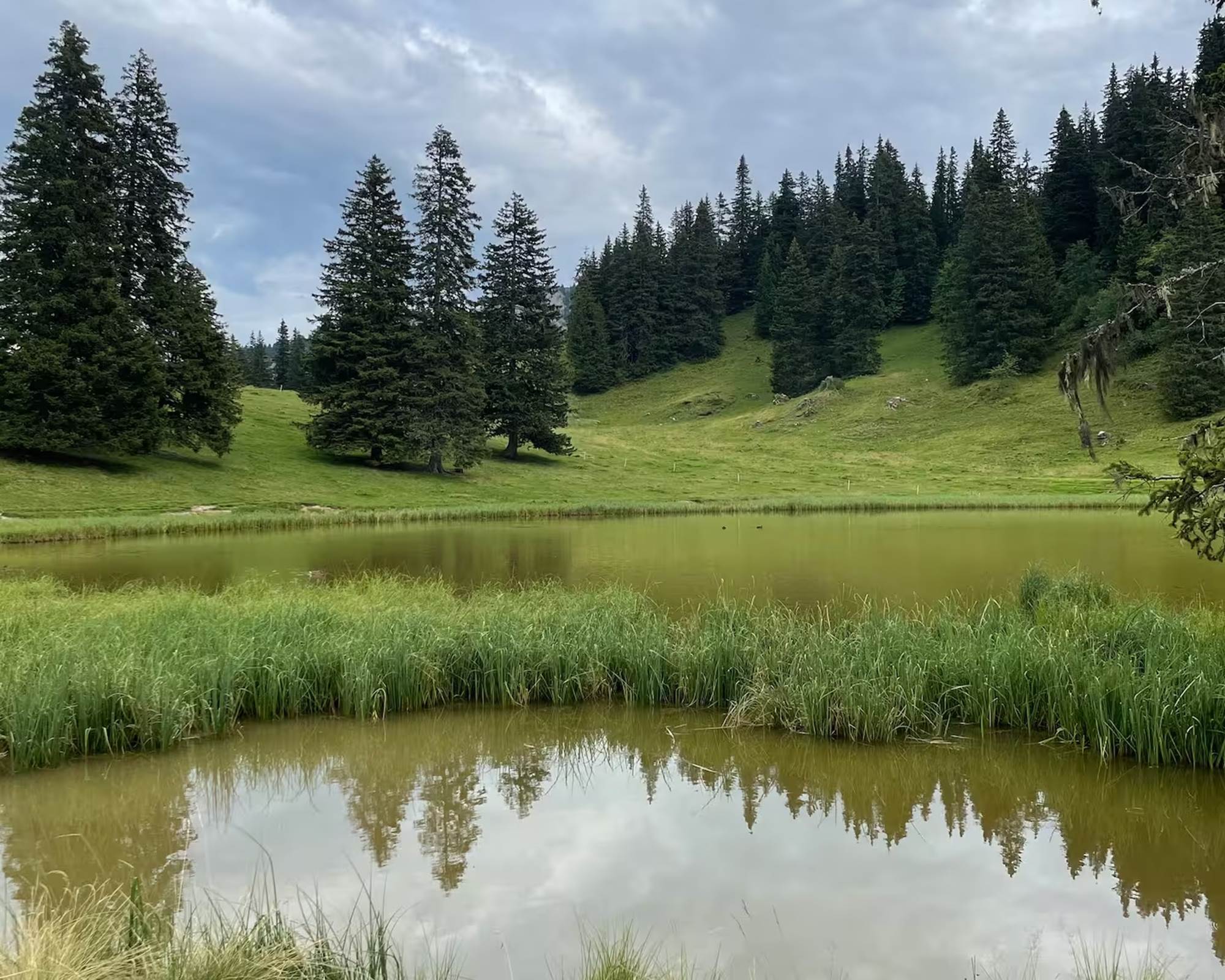 Chemin de randonnées