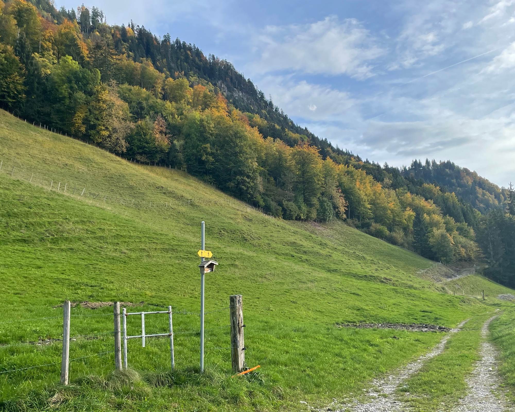 couleurs-automne-promenades-sentiers-montagne-suisse-gruyere-couple-weekend
