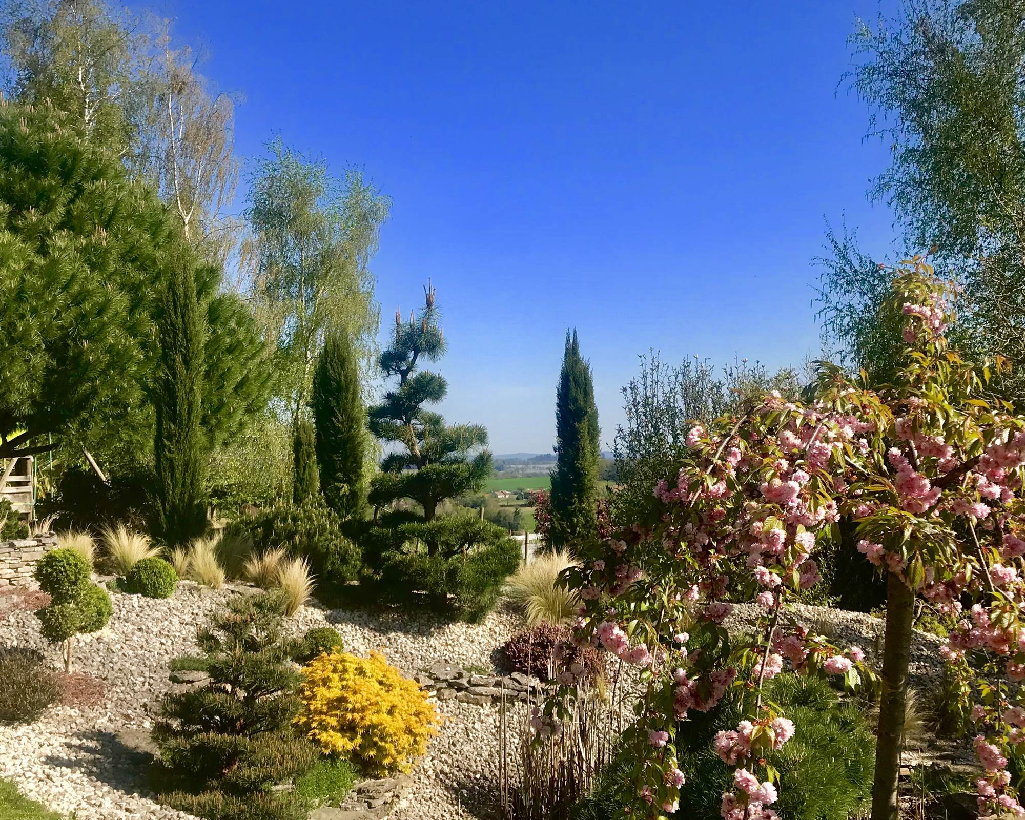 1 vue sur le jardin au printemps