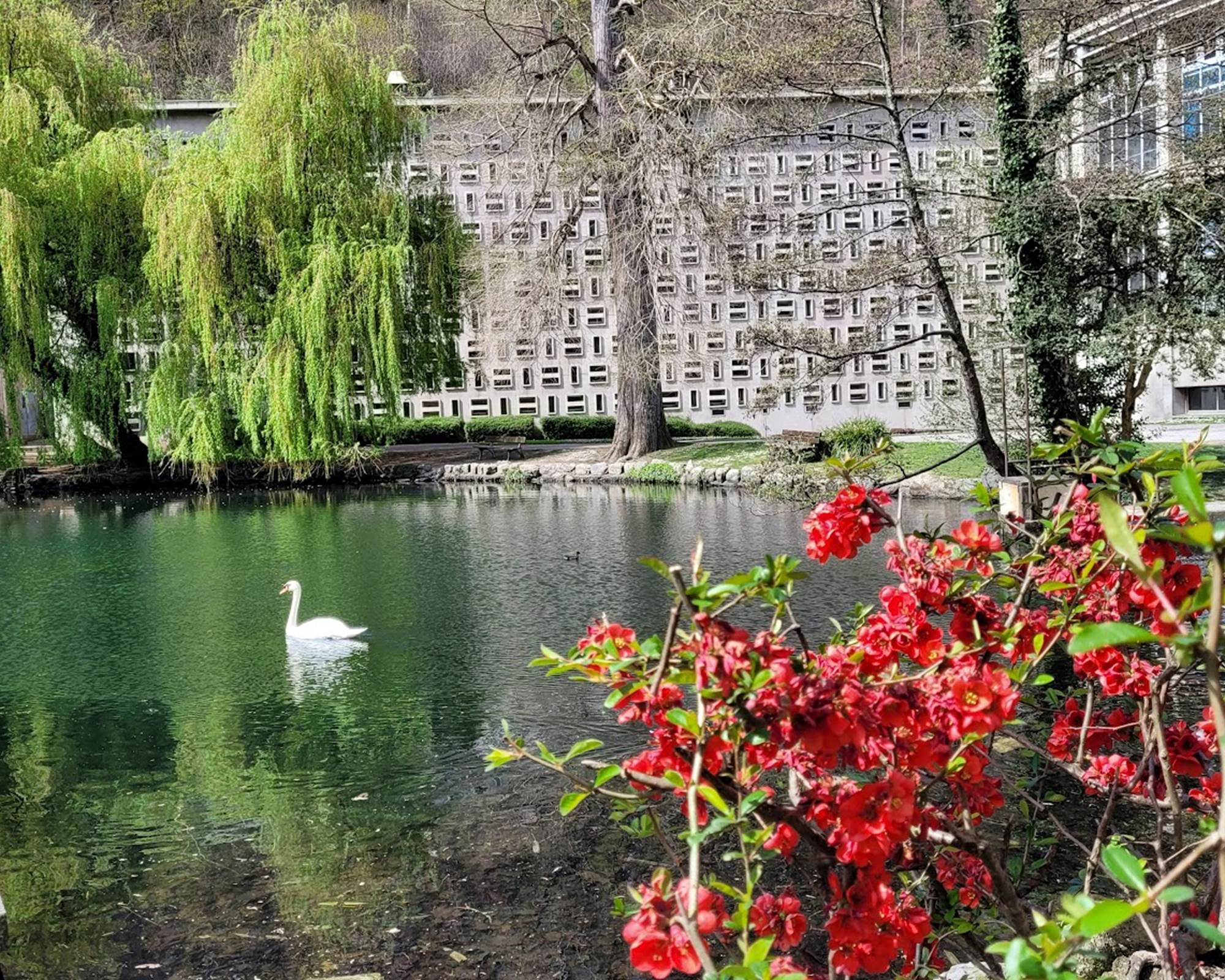 Lac aux thermes de Luchon