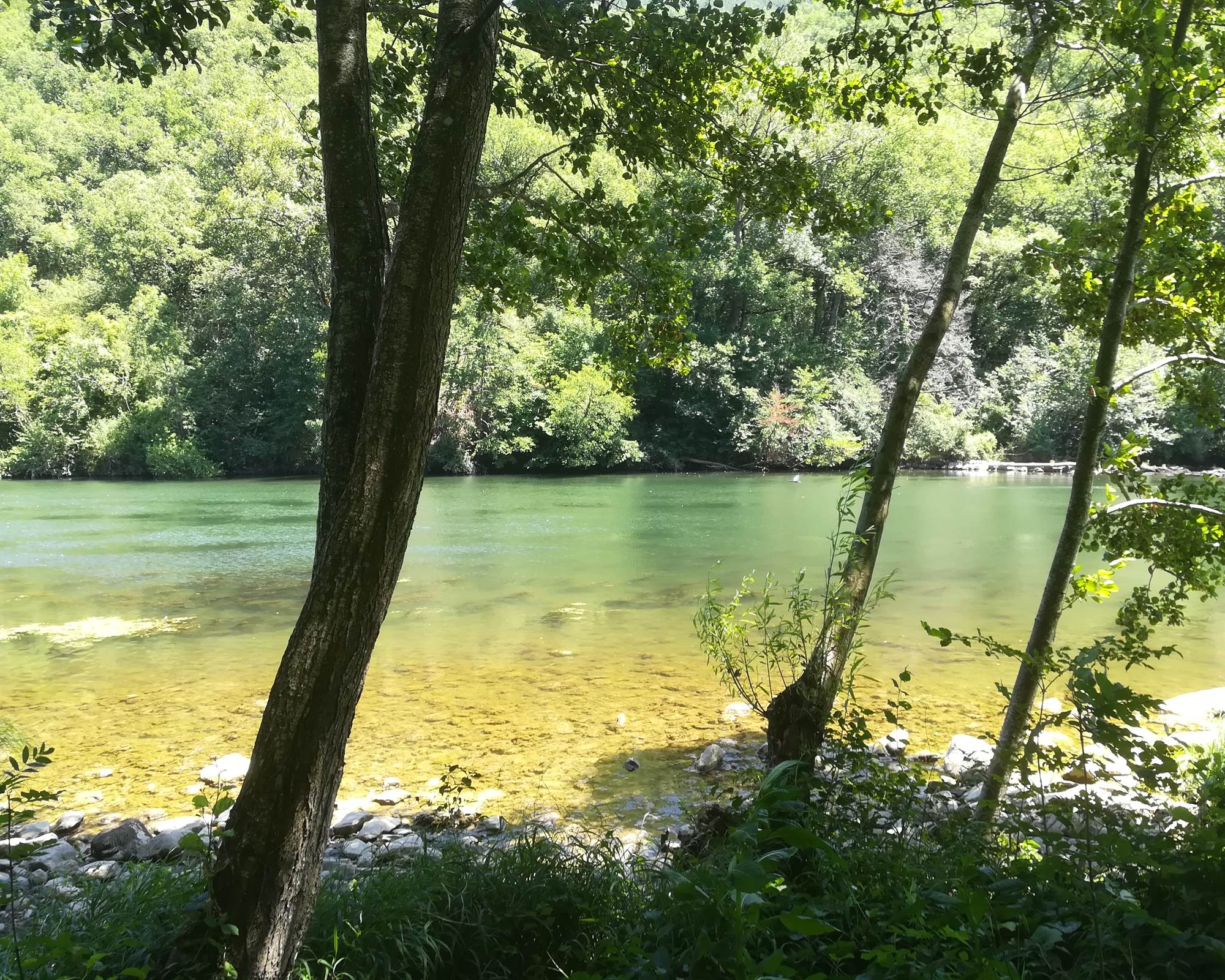 letarn-a-500m-de-la-maison-photo-gallery