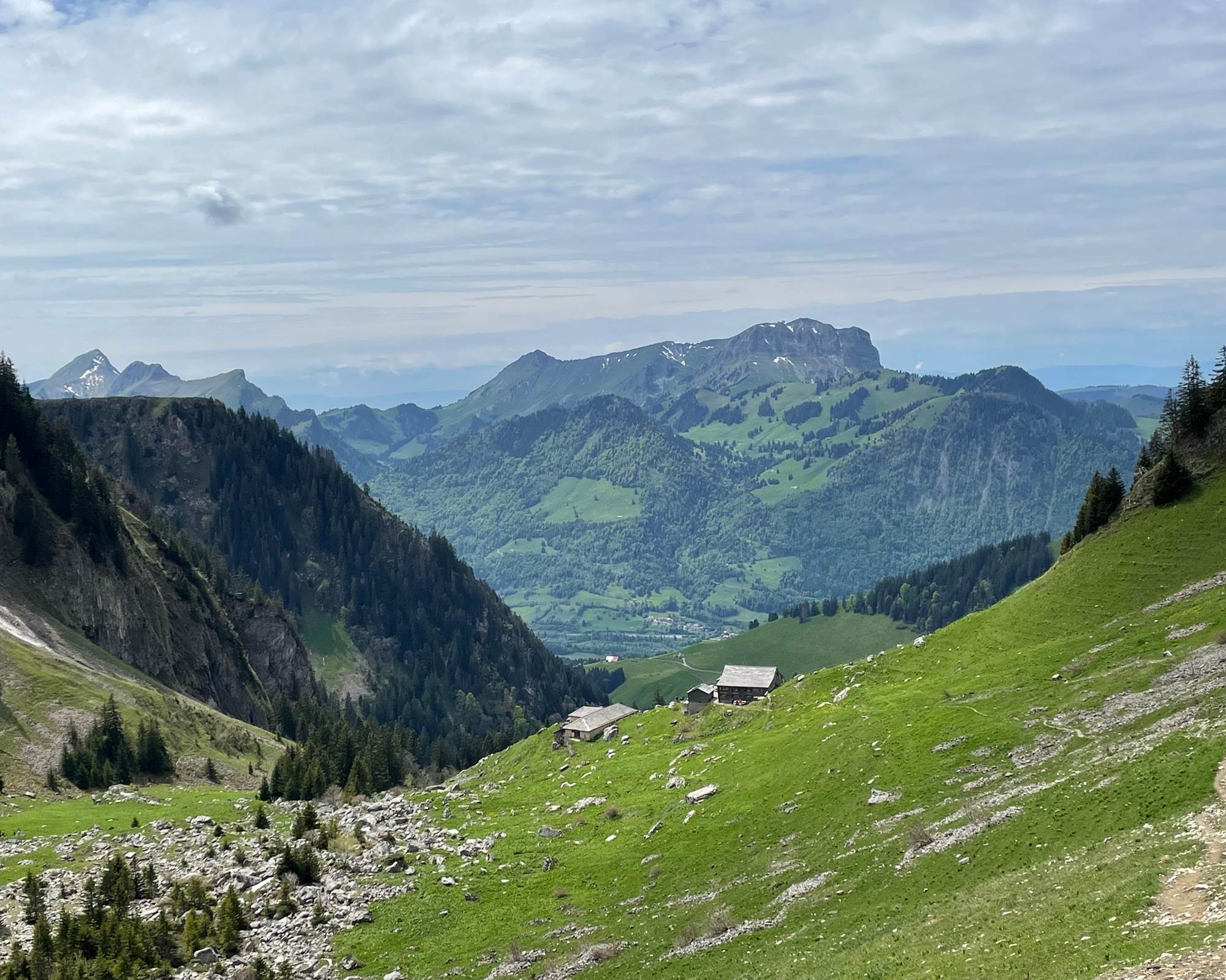 Randonnée proche du studio - vue sur le Moléson depuis Bounavaux
