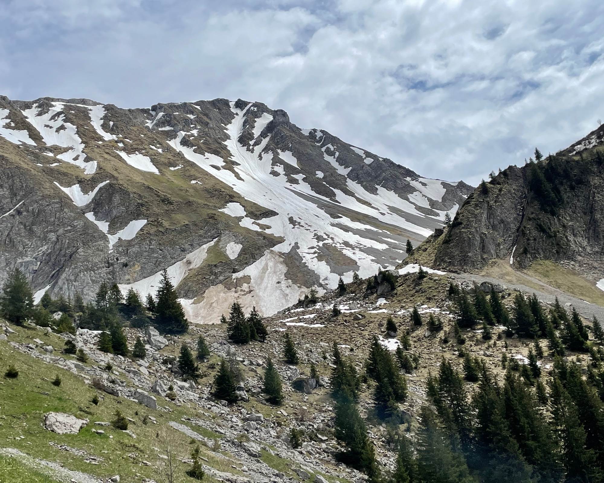 Randonnée proche du studio - le Vanil Noir au printemps