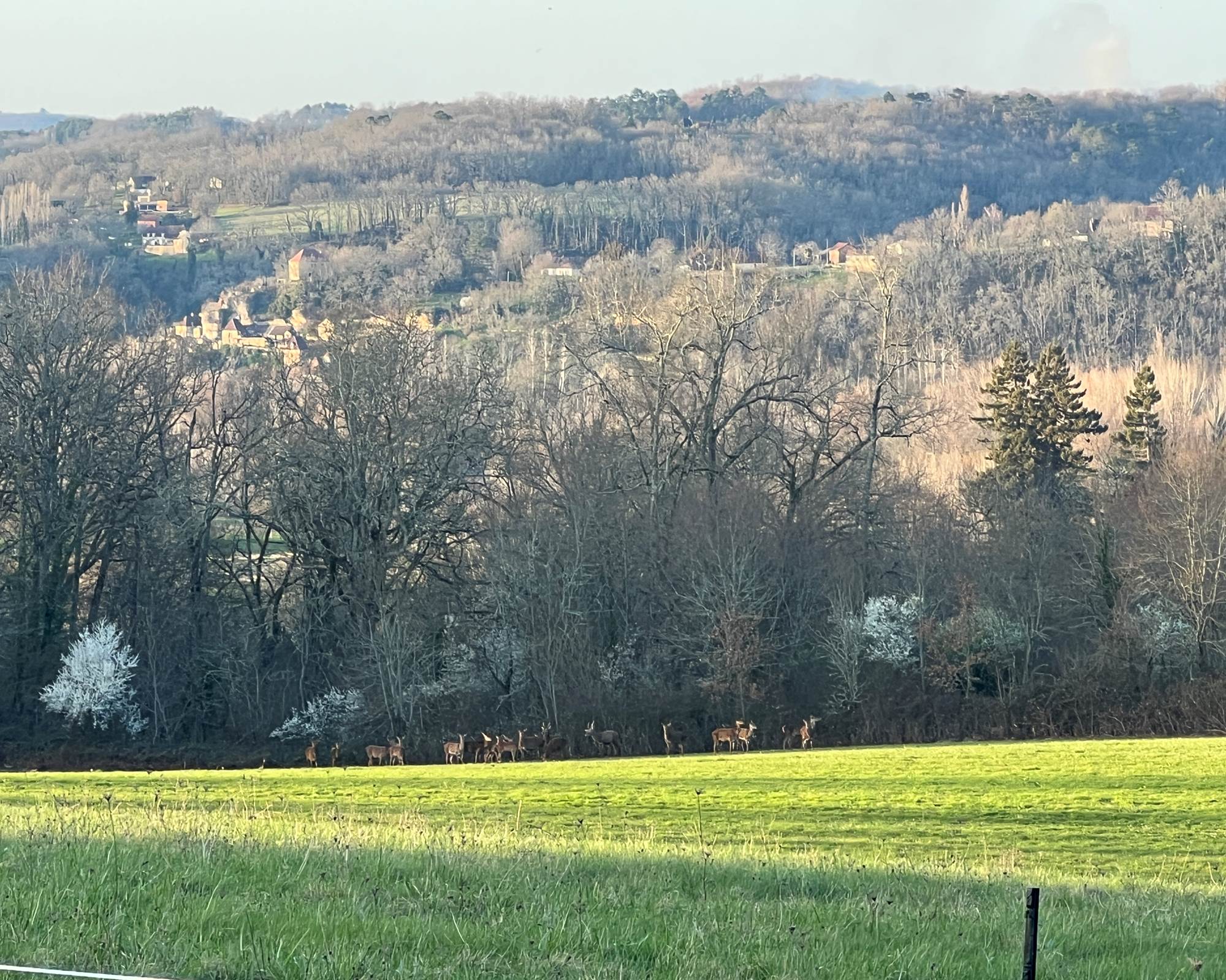 IMG_7174-photo-gallery