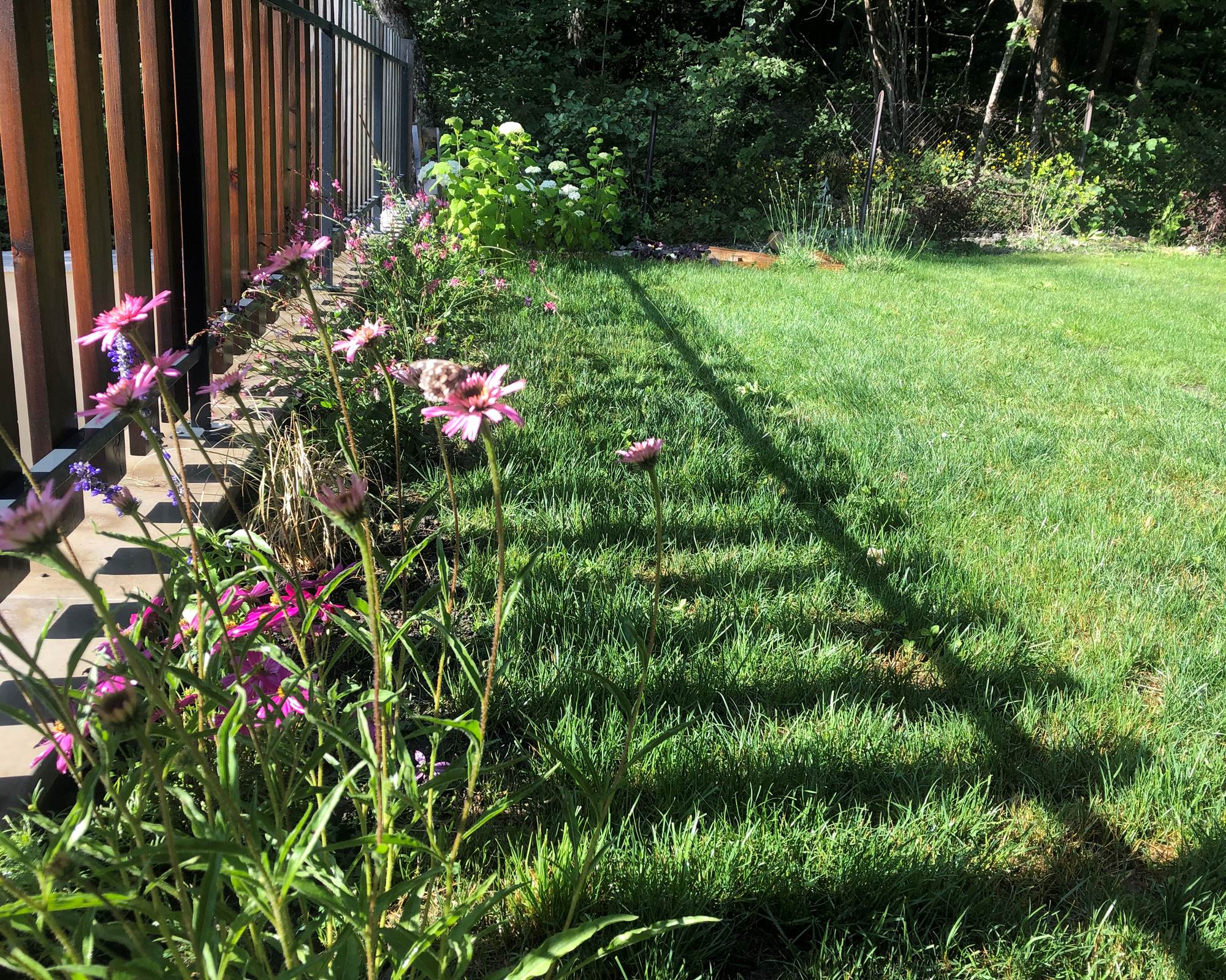 tempImagevBwzMQ-photo-gallery