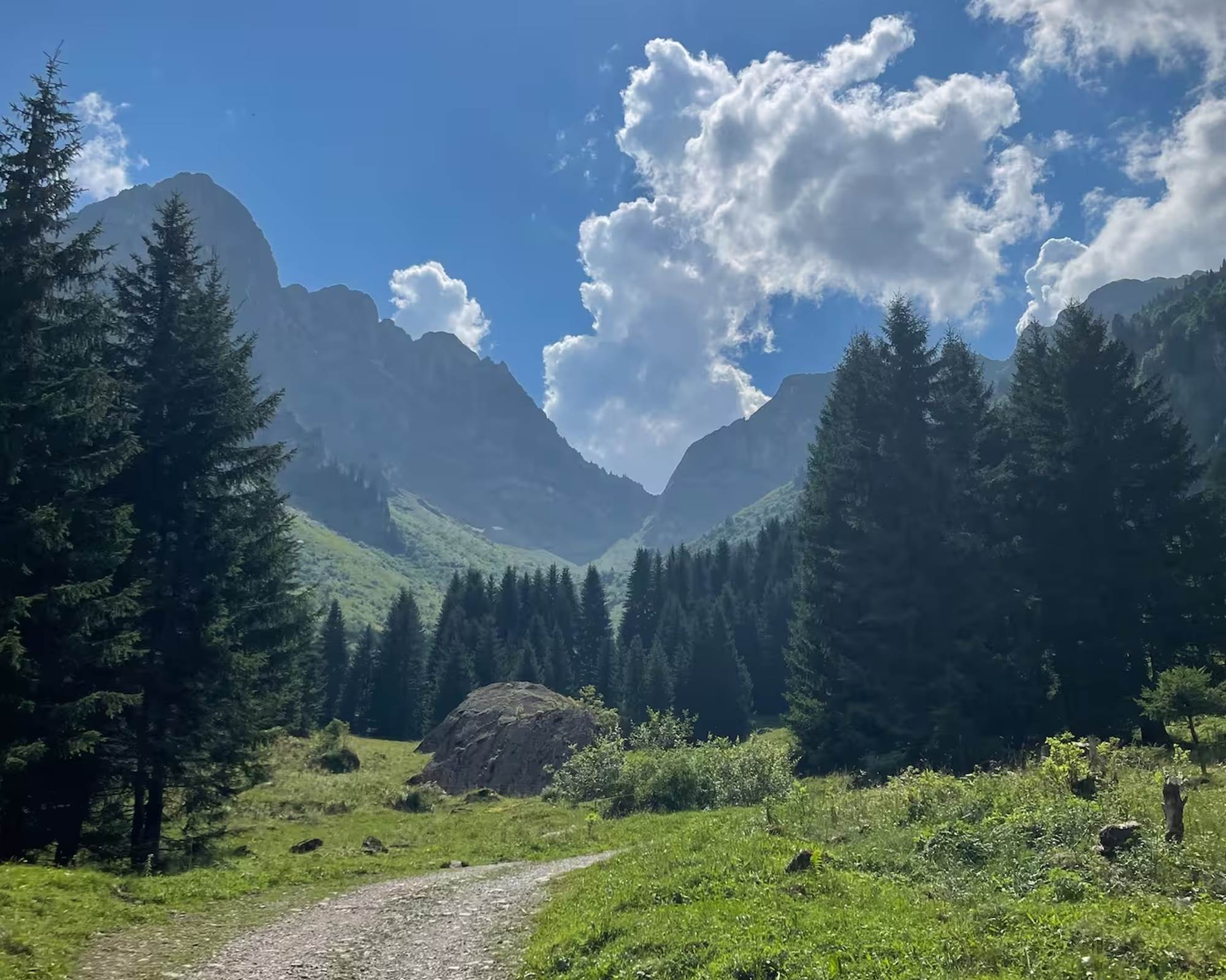 e4e1833a-e623-40e1-976b-65e4eb7f8a9f