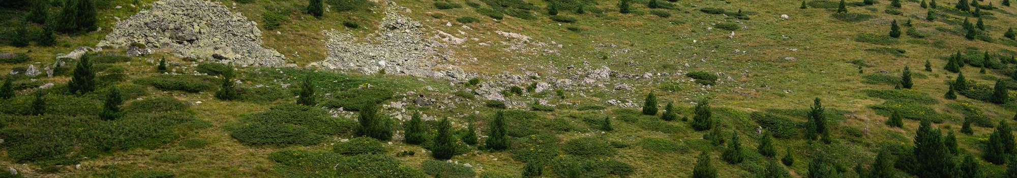 Activités en vallée d'Aspe