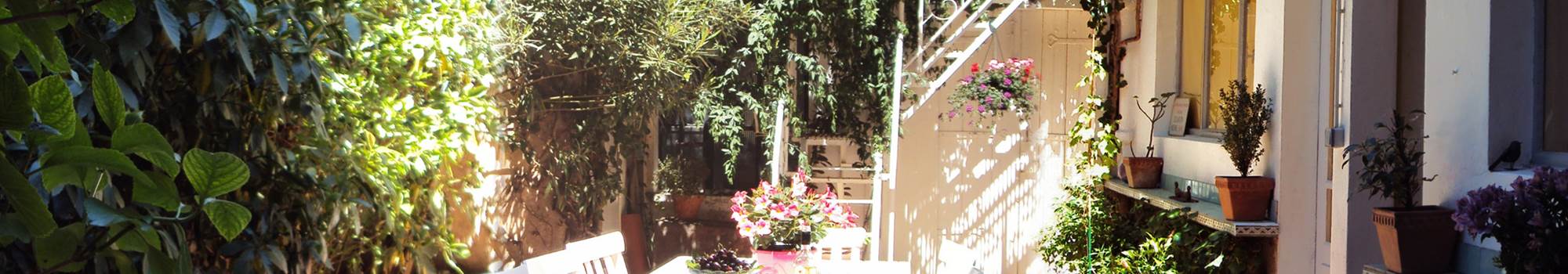 Le patio, espace de détente empli de calme et de fraîcheur