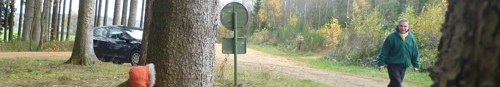Les découvertes en forêt et ses parties de cache cache