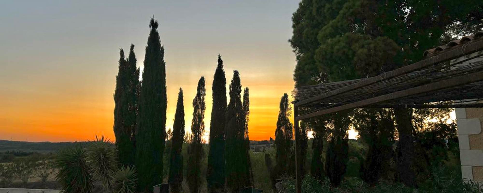 453246721_471131719064277_3744442234276454_n