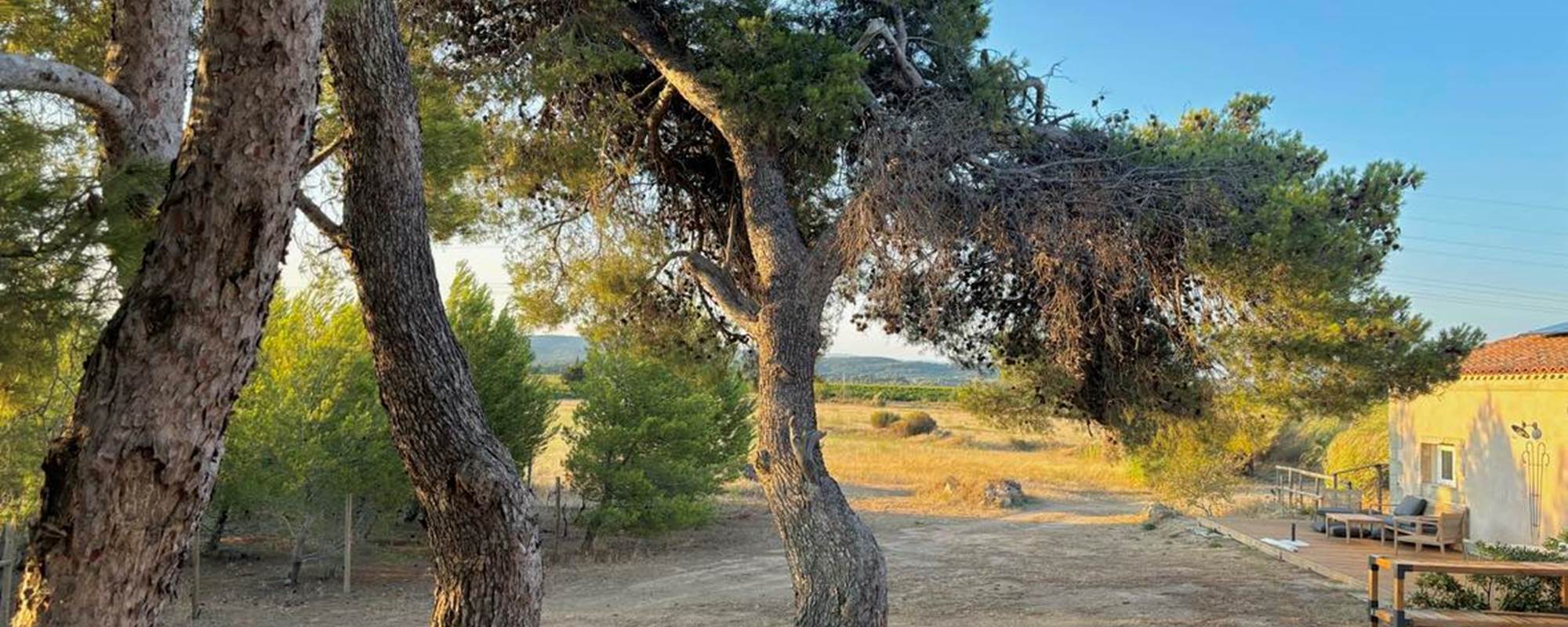 453312820_2069181066811514_1081117347926462811_n