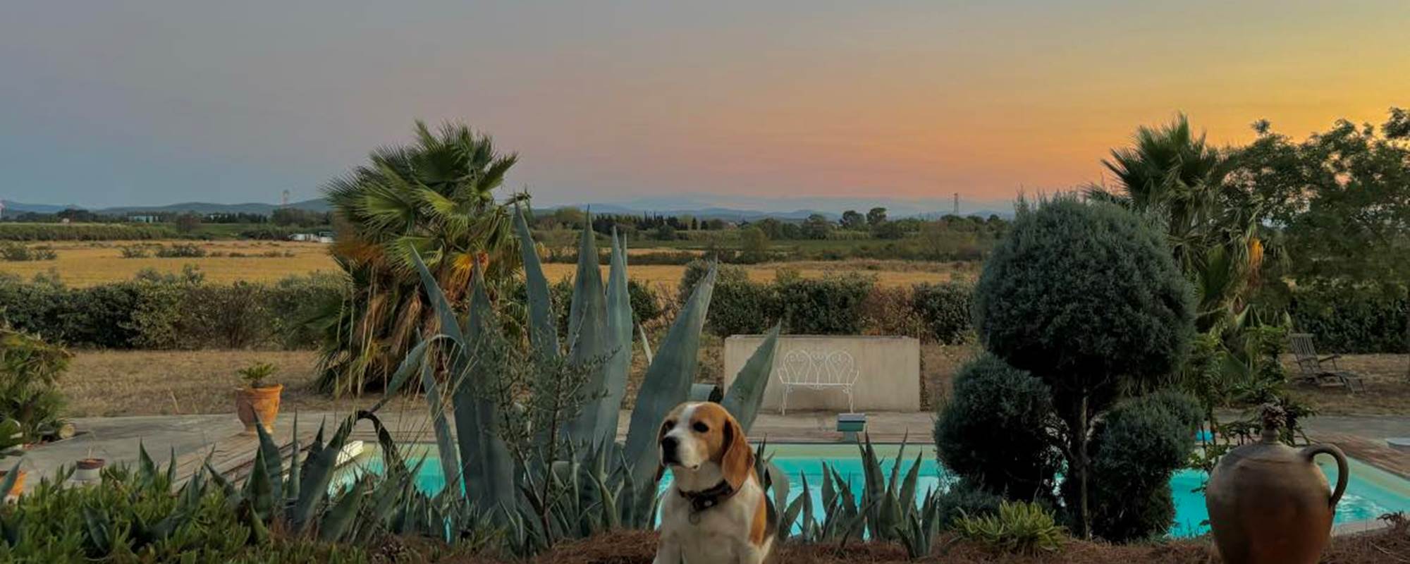 453294565_815168727359619_6243600828995480690_n