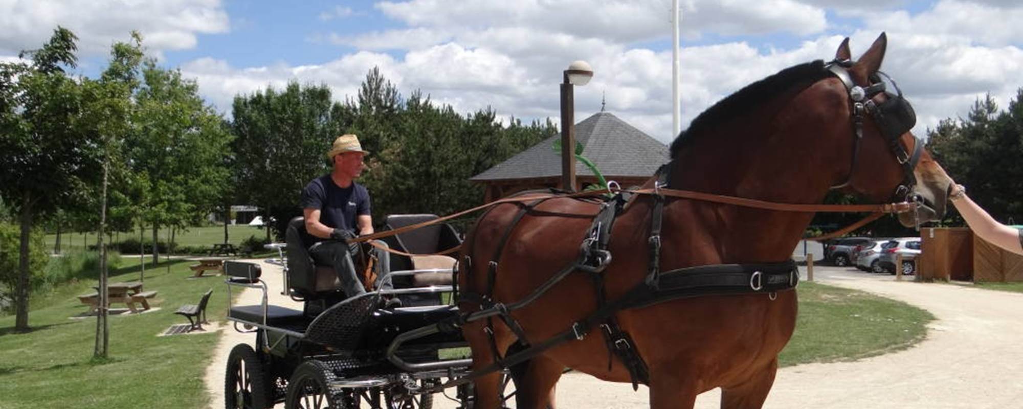 Balade-cheval-Caleche-Loretaine