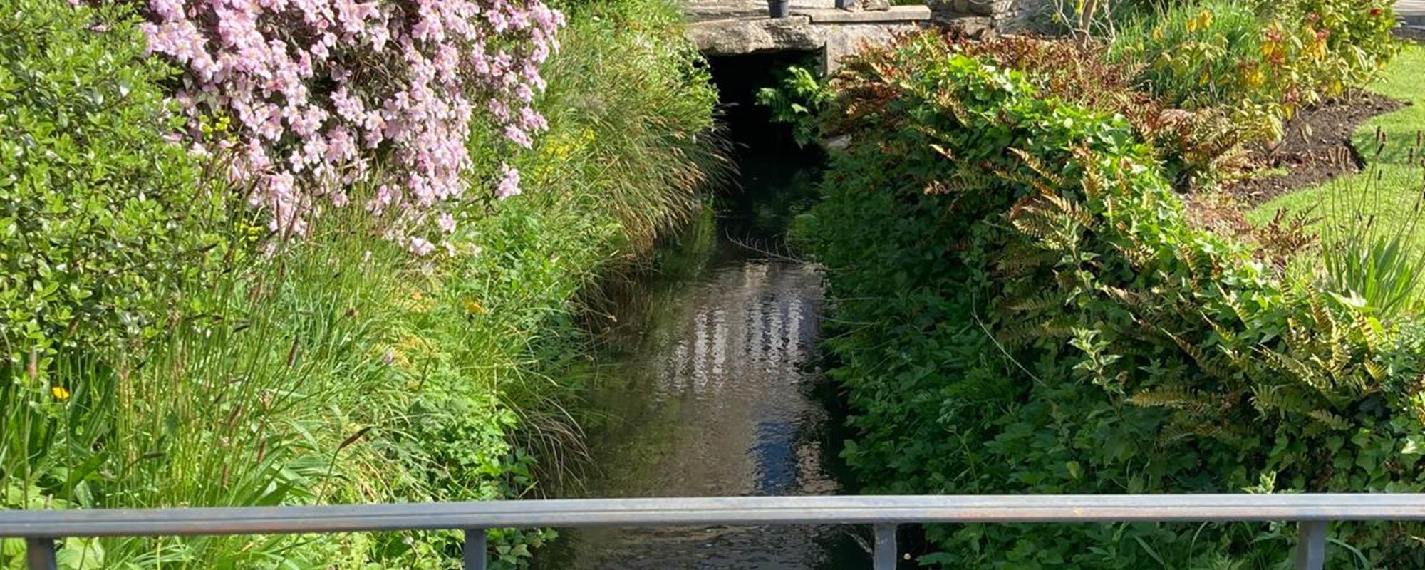 aufildeleau-cotentin-bnb-chambre-hote-le vast