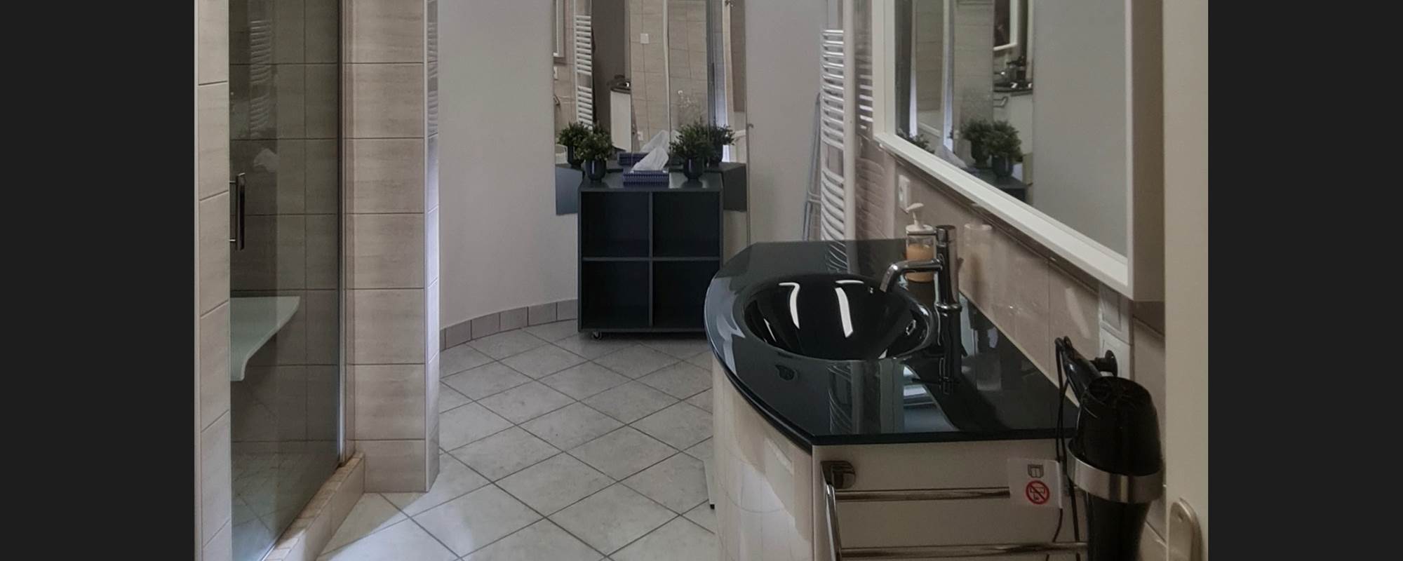 VILLA DU LAC VICHY - salle de bain douche