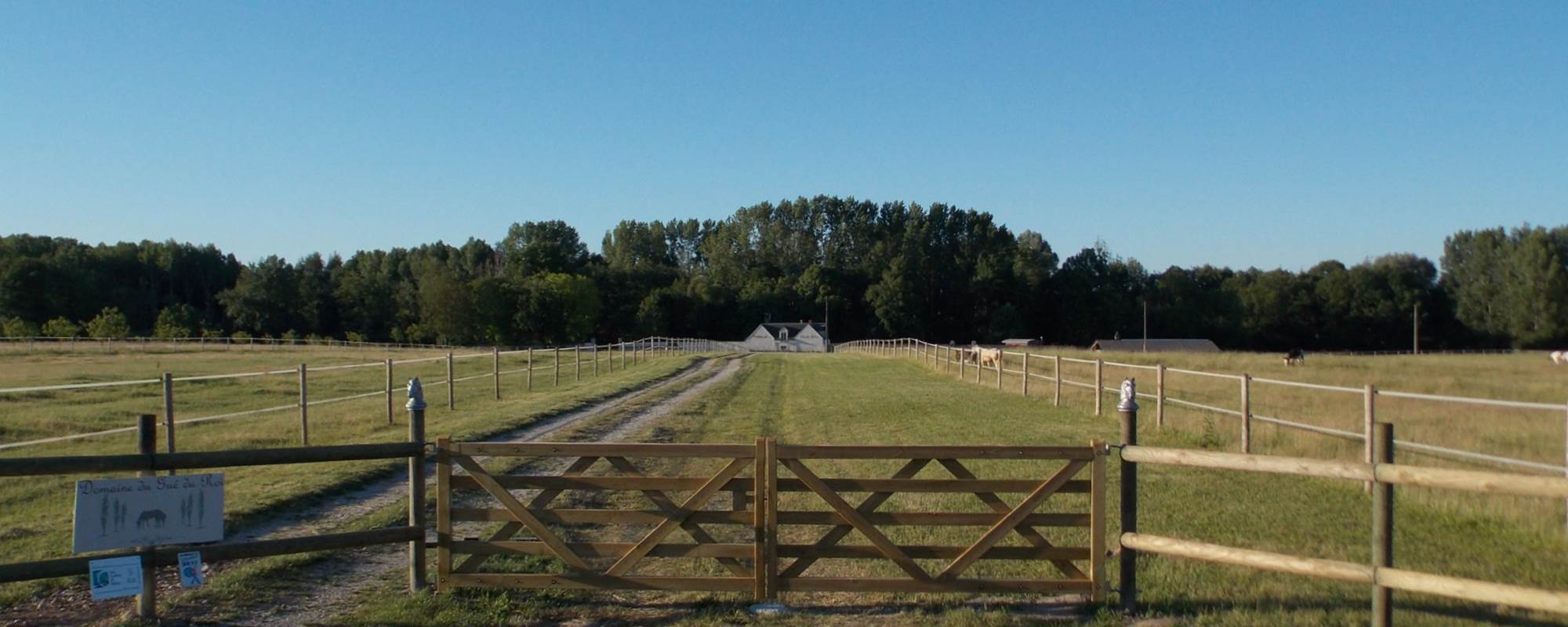 Domaine du Gué du Roi Allée