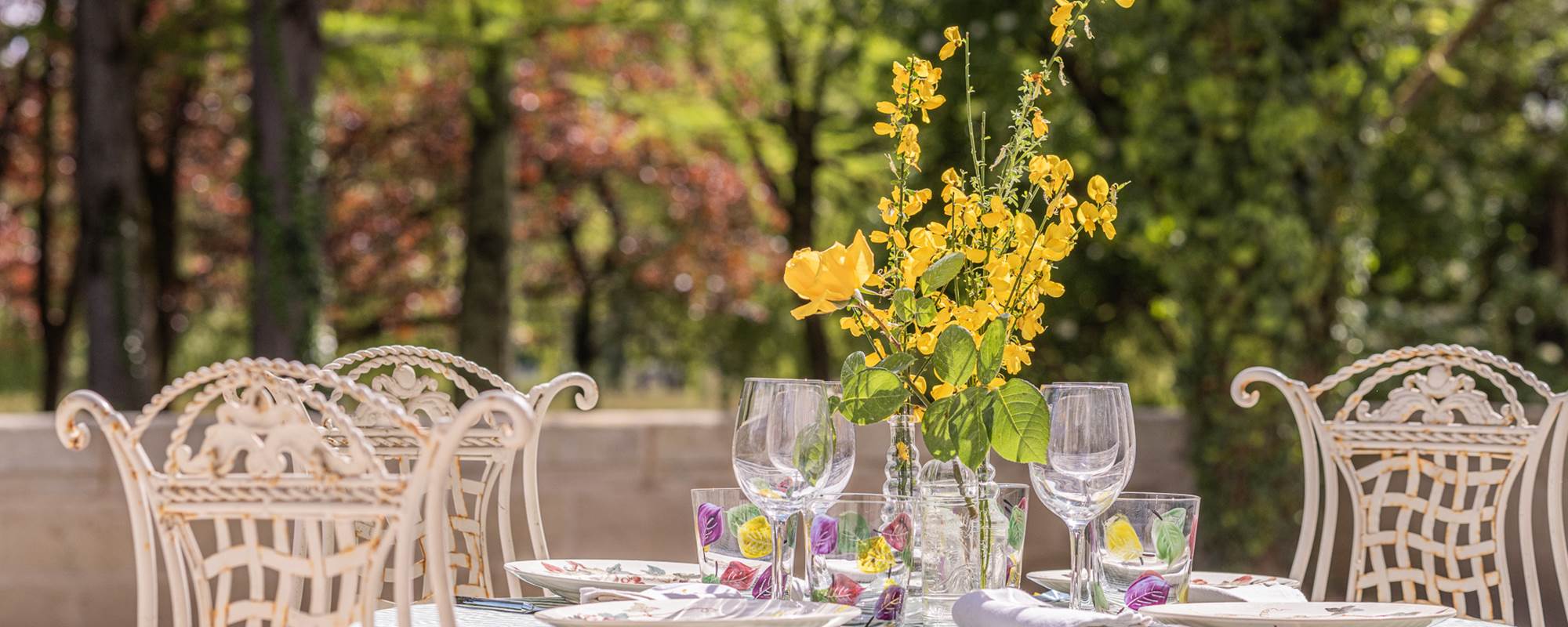 Château Sénéjac - Le Pian Médoc - Chambres d'hôtes