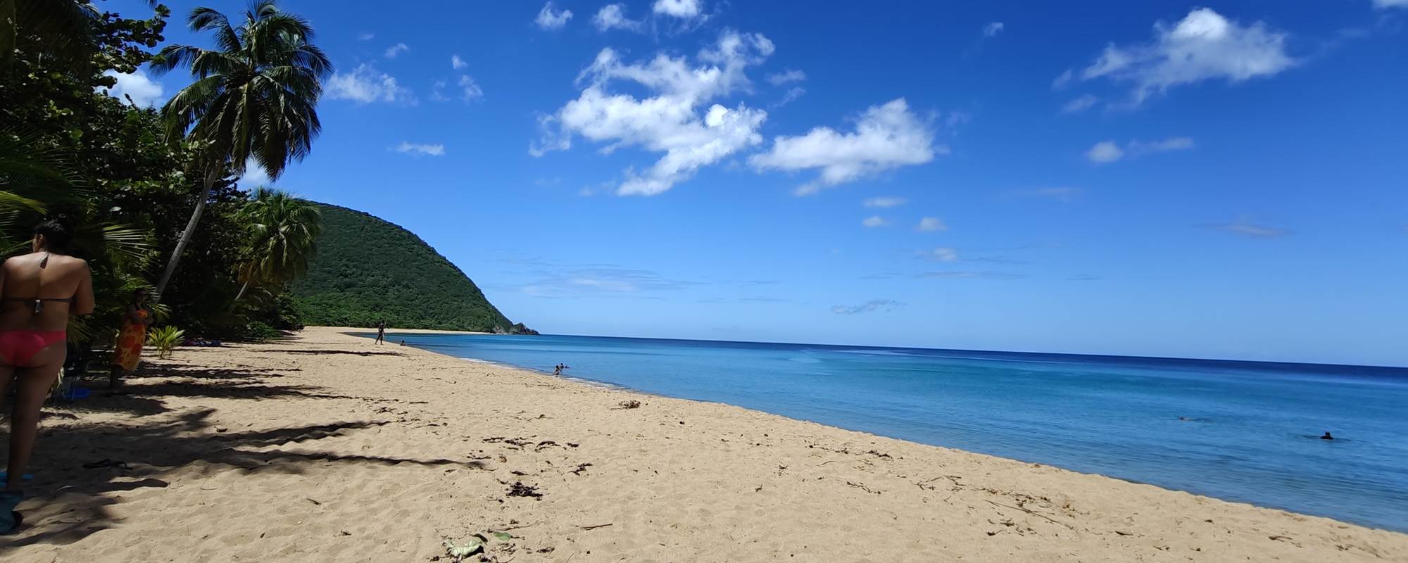 Plage de Grande Anse à 8 km du Domaine de Fanélie
