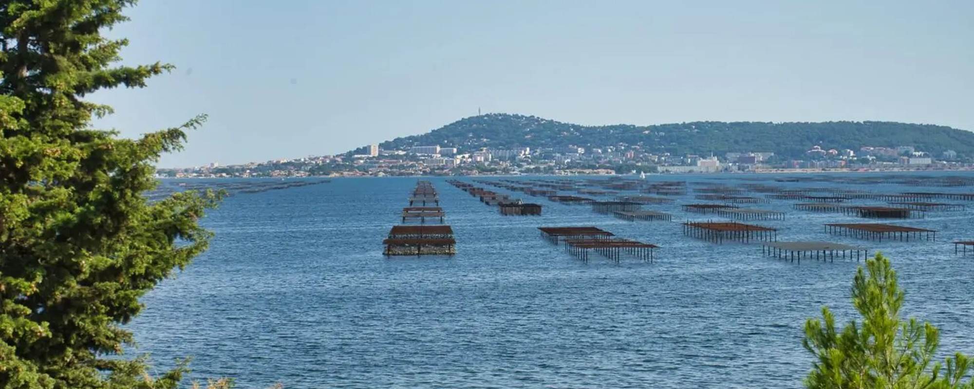 LES DEMEURES DE THAU - Etang