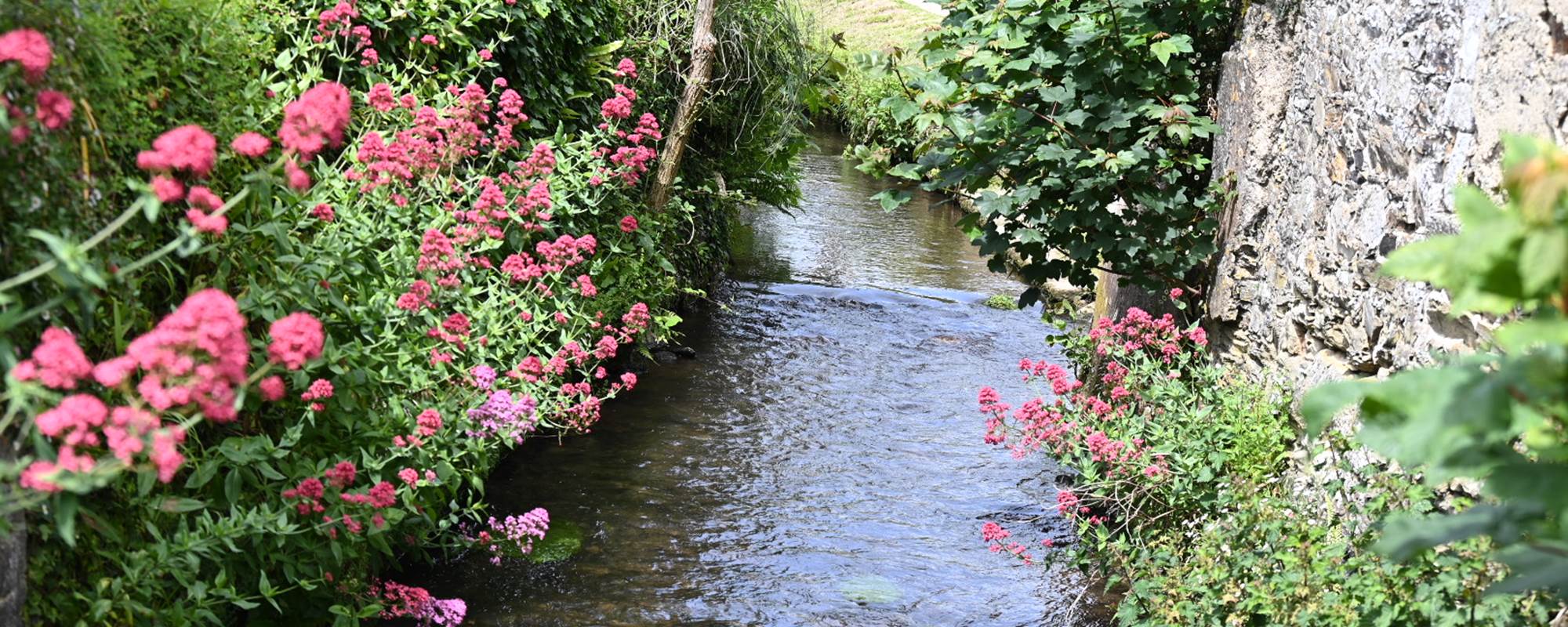 aufildeleau-cotentin-bnb-chambre-hote-le vast