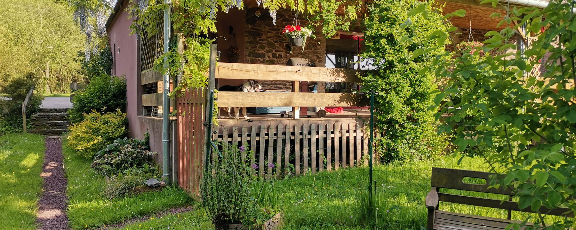 IMG_20230517_191754[1]