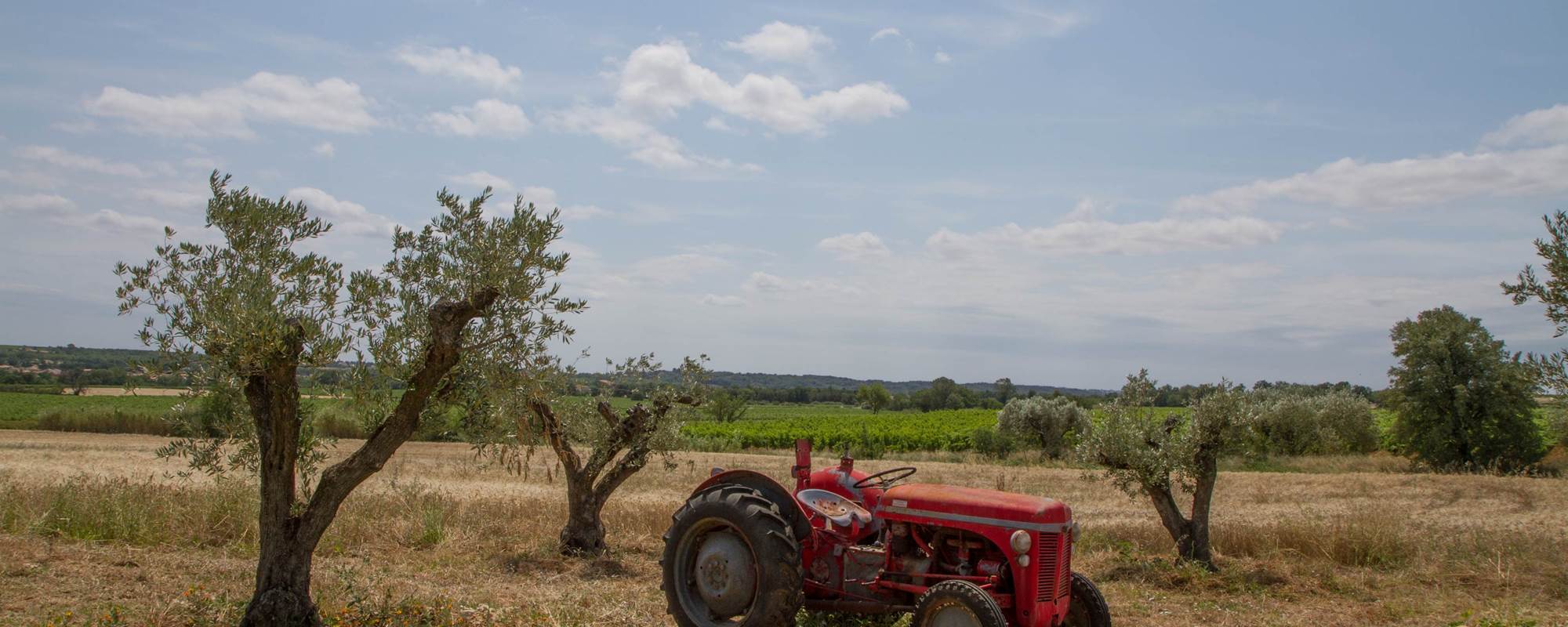 Vue panoramique sur le domaine viticole entouré de vignes à Puimisson, dans l’Hérault