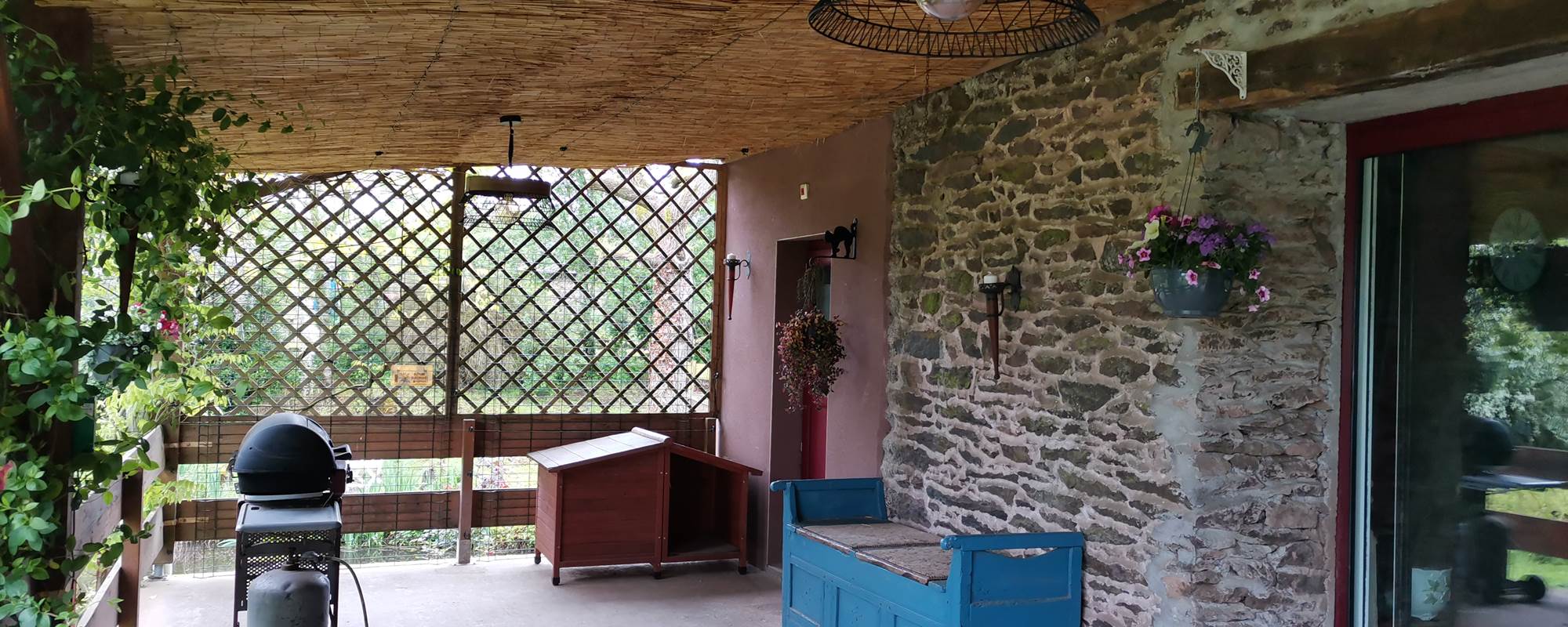 IMG_20230509_115056[1]