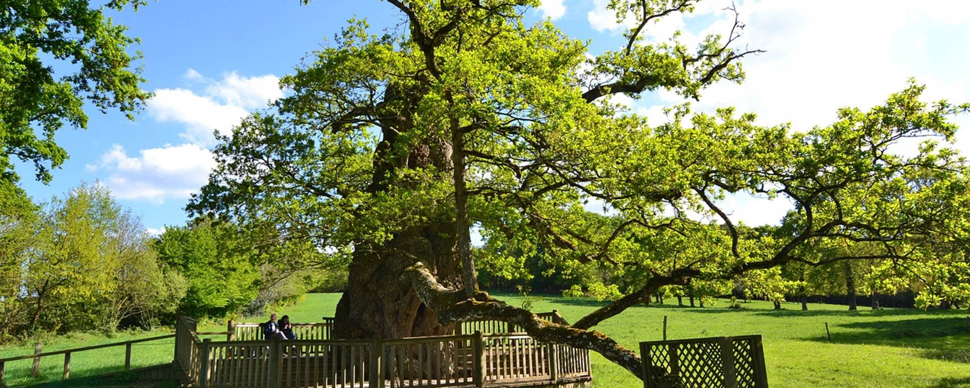 AR-LITORIENN-Chambre-d'Hôte-à-Paimpont