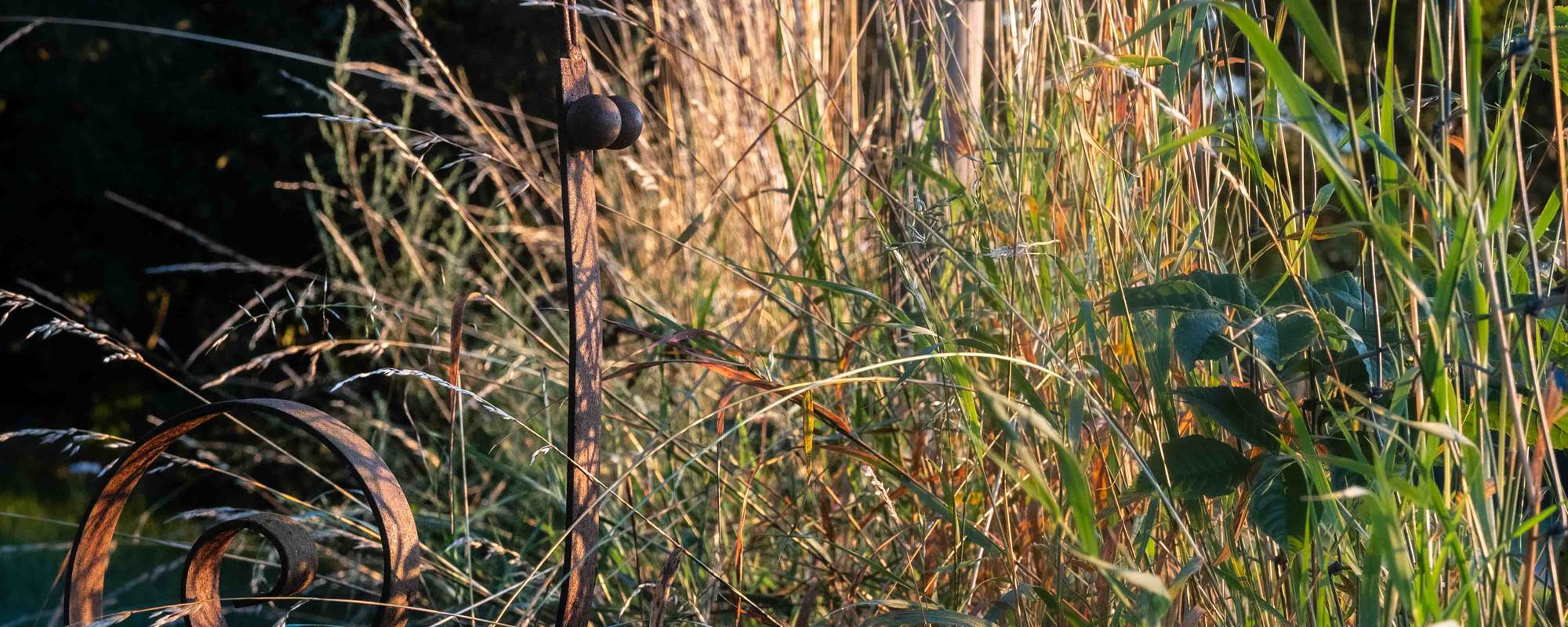 10 Escargot.- MSA_0674_