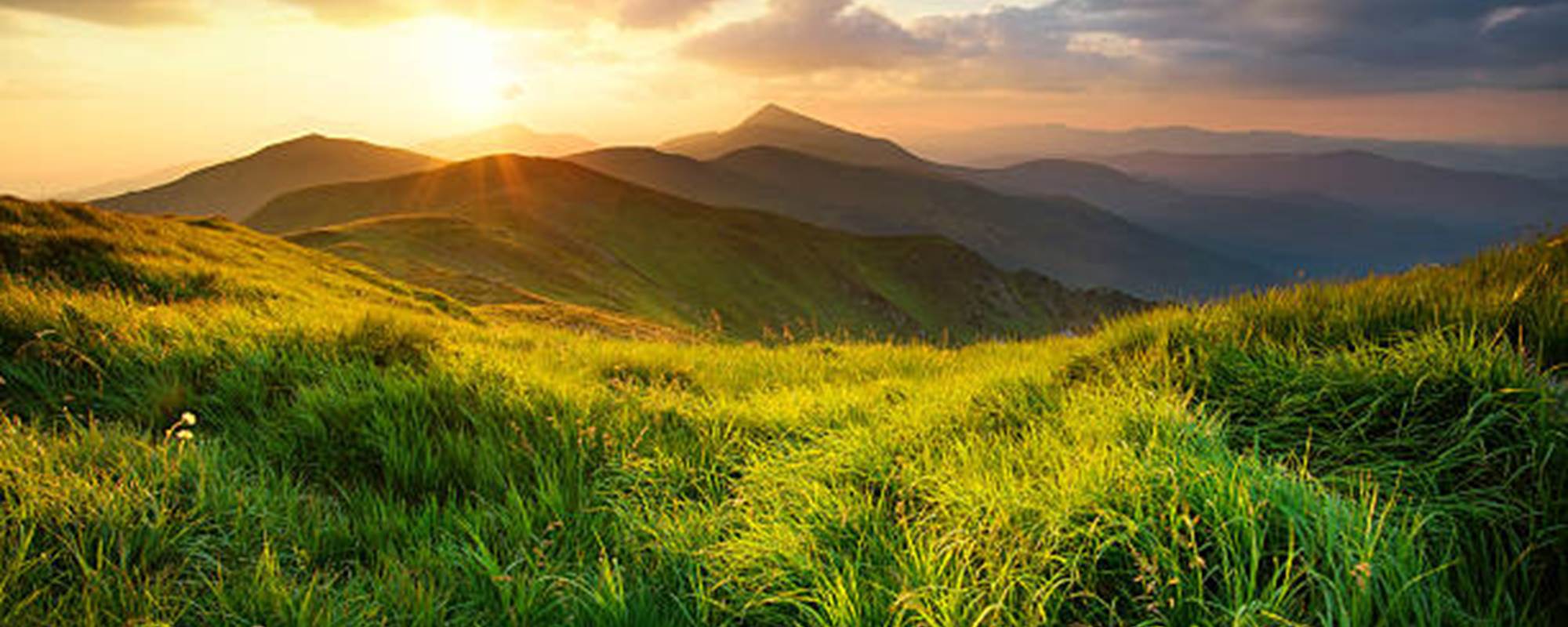 istockphoto-591441250-612x612