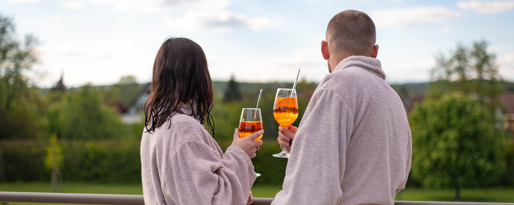 gites-luxe-alsace-nord-karlsmuhle-espace-bien-etre-piscine-sauna-spa-51