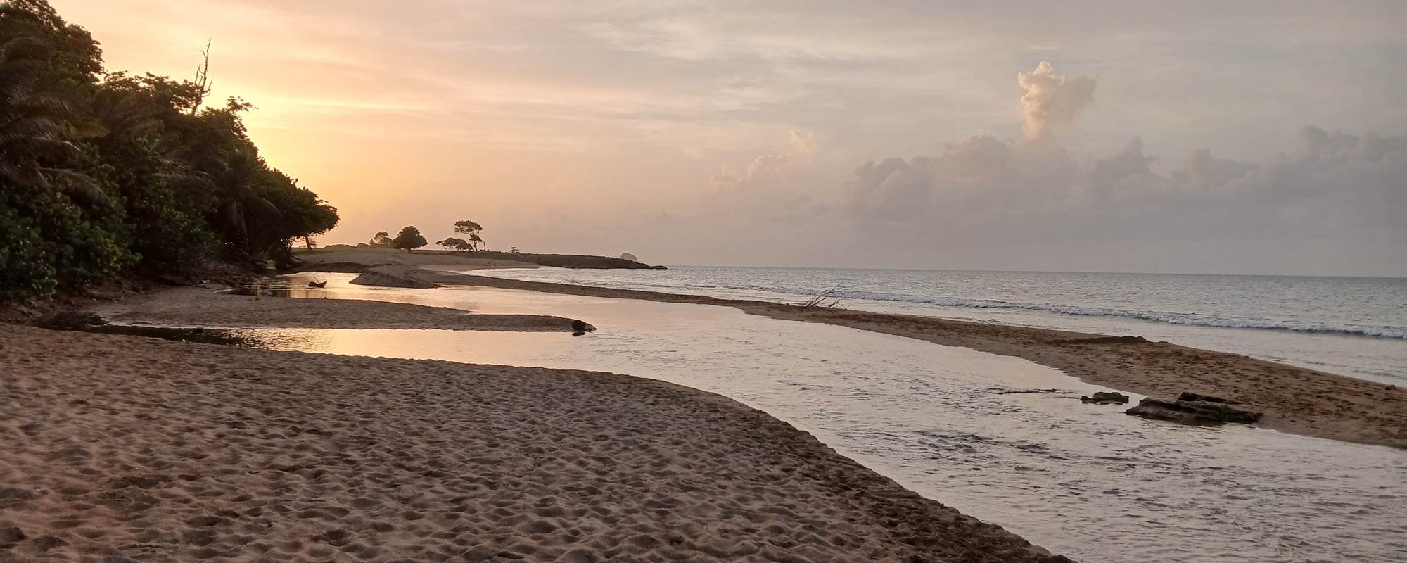 Nogent coucher de soleil couleur brun