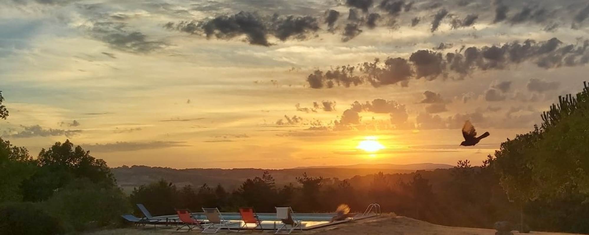 Un réveil avec les oiseaux