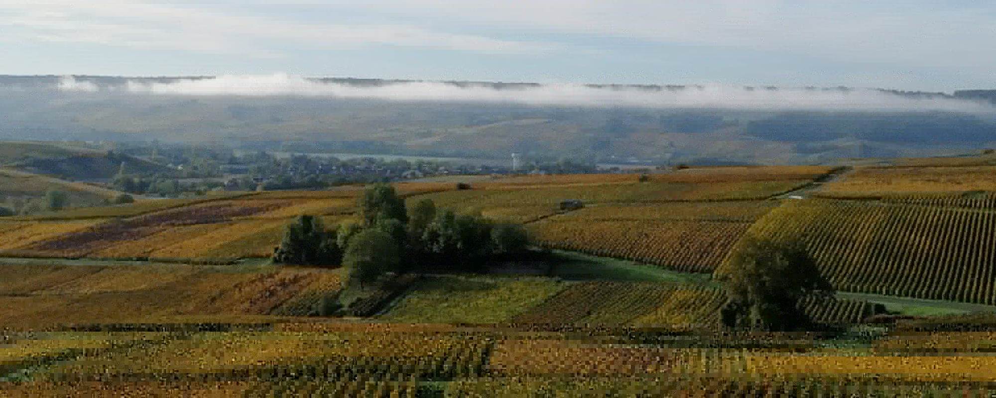 Vue automnale au champagne ARNOULT