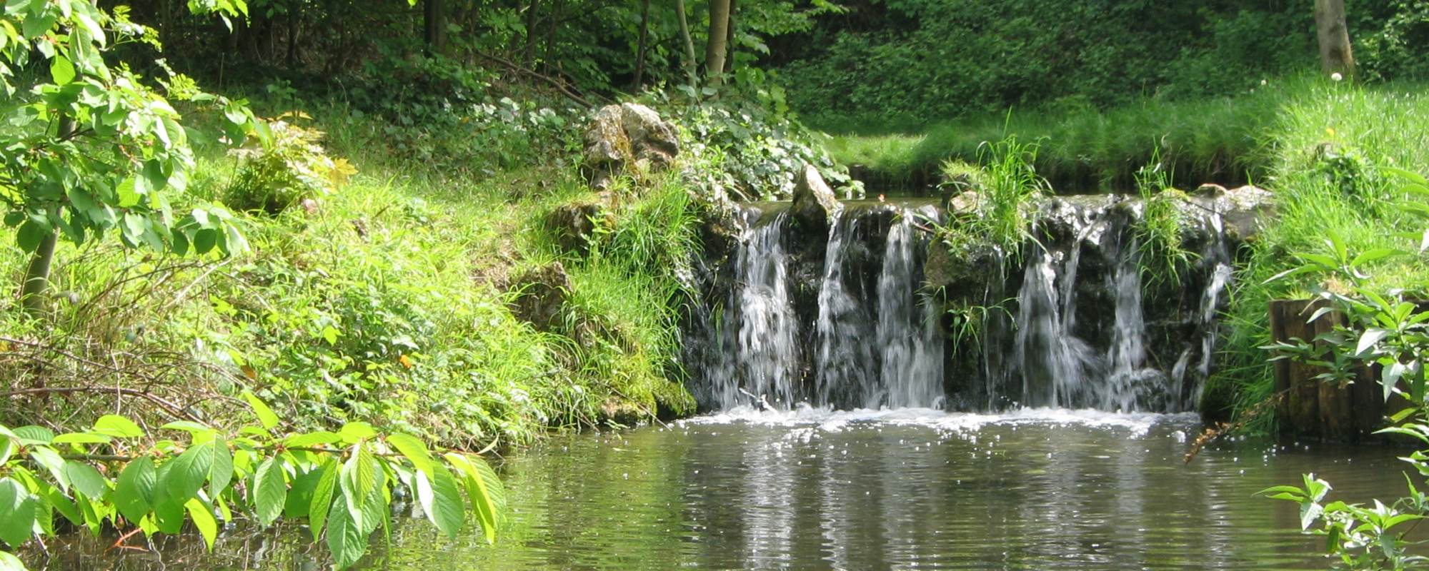 Bois_de_Vincennes_printemps_2009_-_005