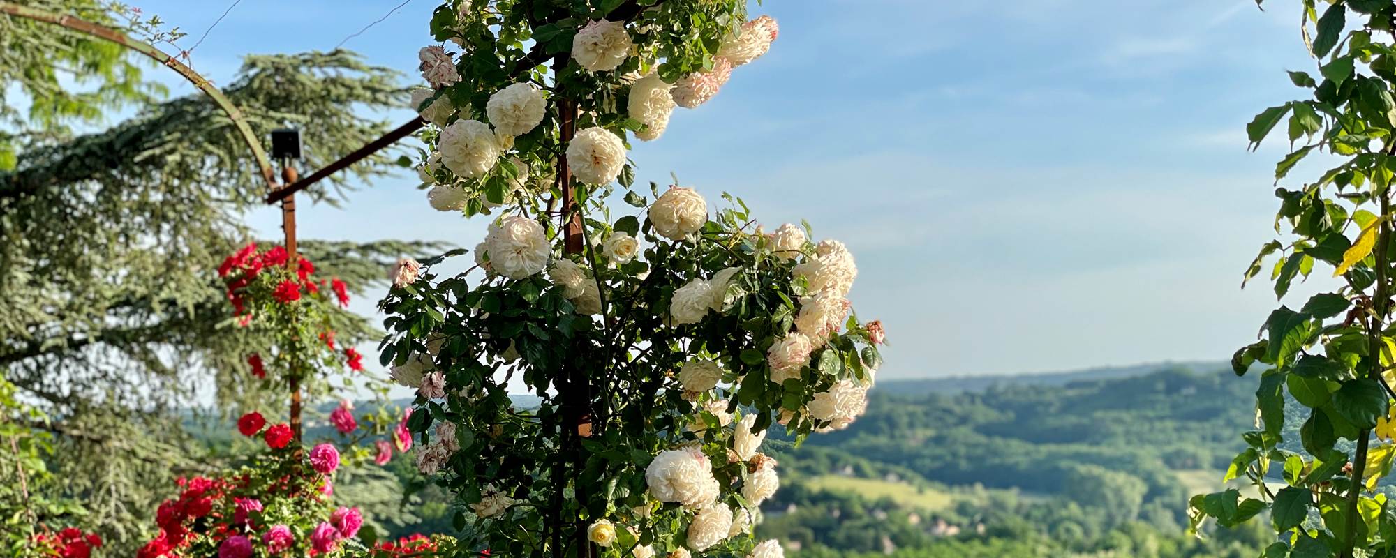 jardin-fleuri-gite-domme-vue-dordogne
