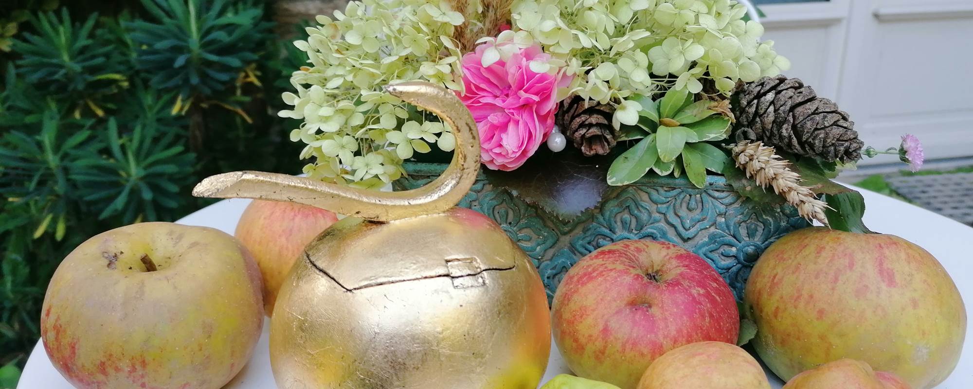 Automne à La Malposte à Reviers