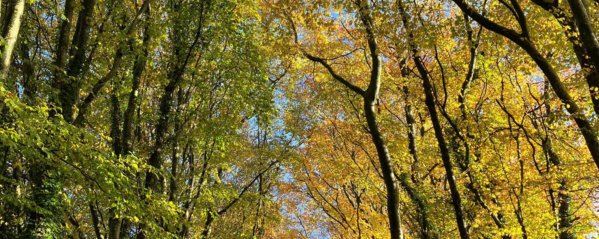 aufildeleau-cotentin-bnb-chambre-hote-val-de-saire