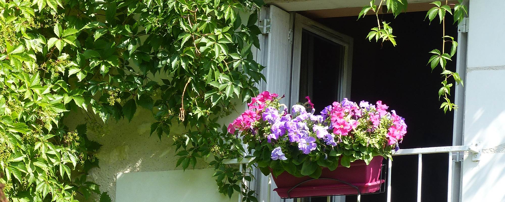 Balcon fleuri