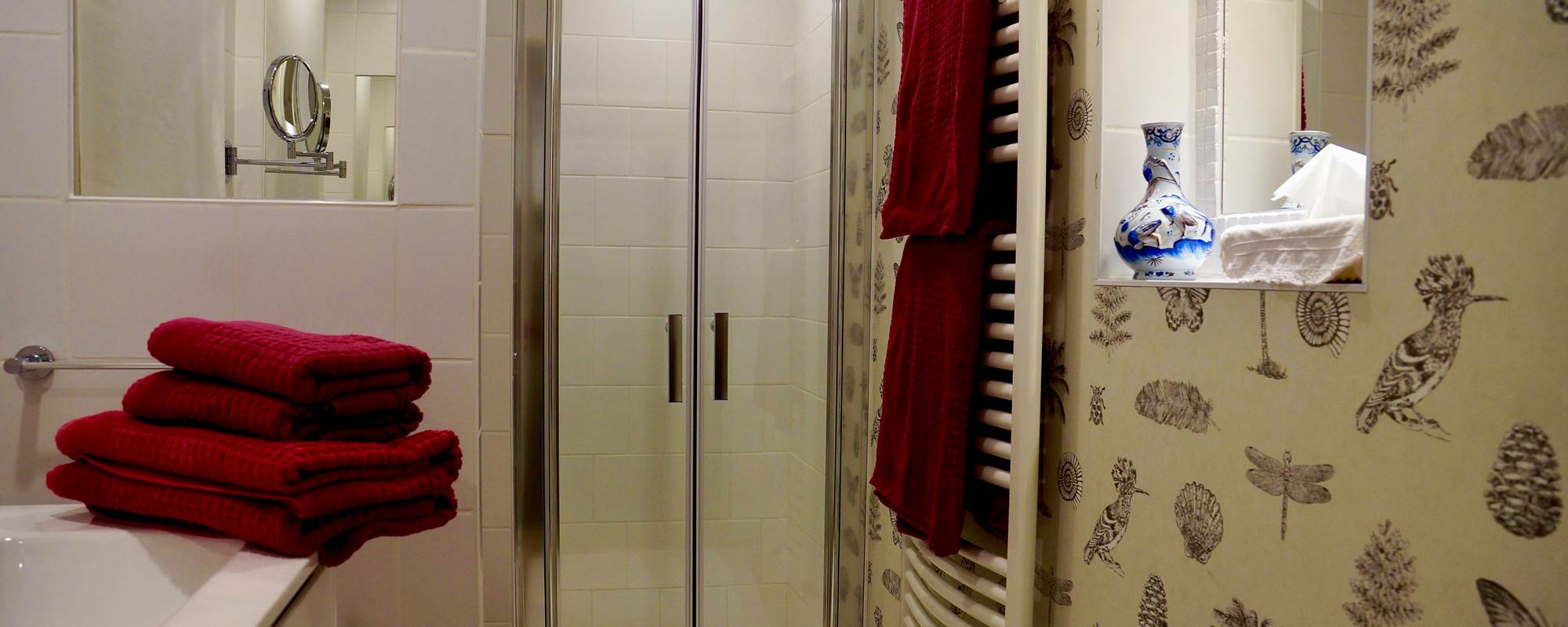 salle-de-bain-5-douche-gite-domme