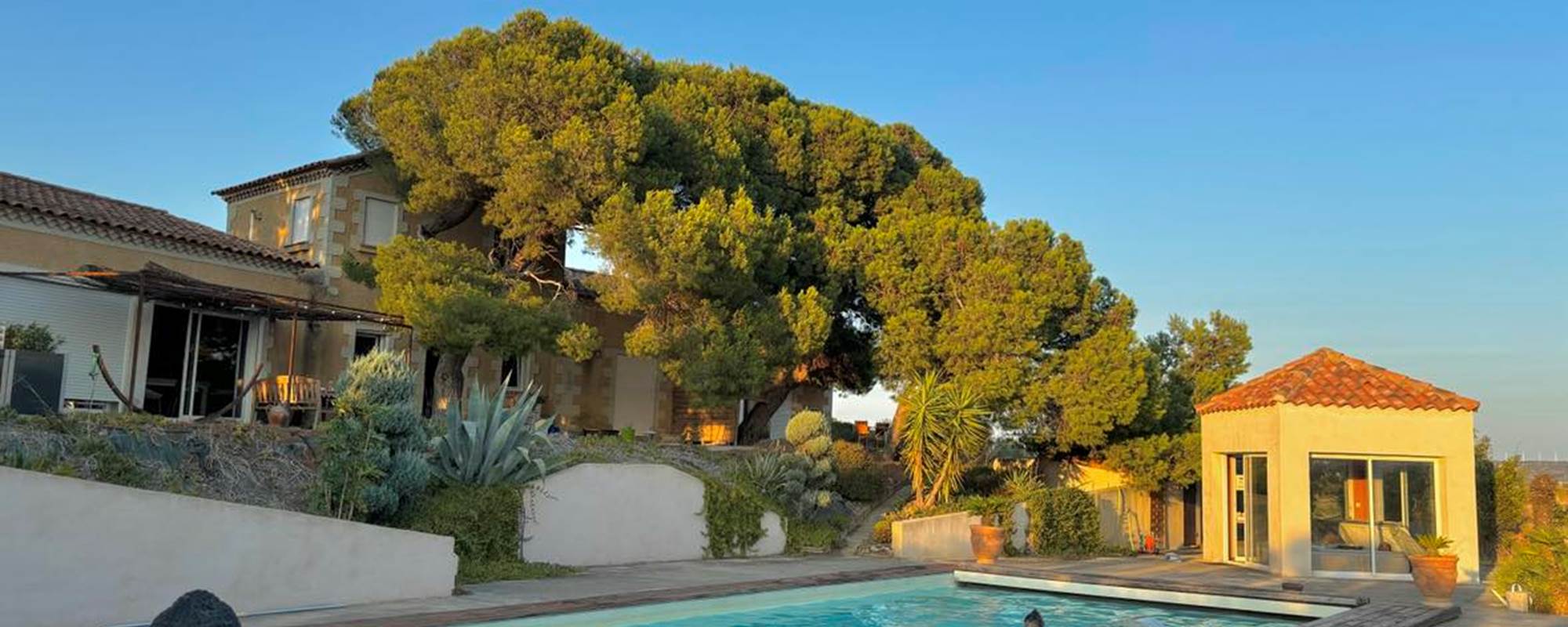 453437147_1006185351053892_1130091424653358640_n