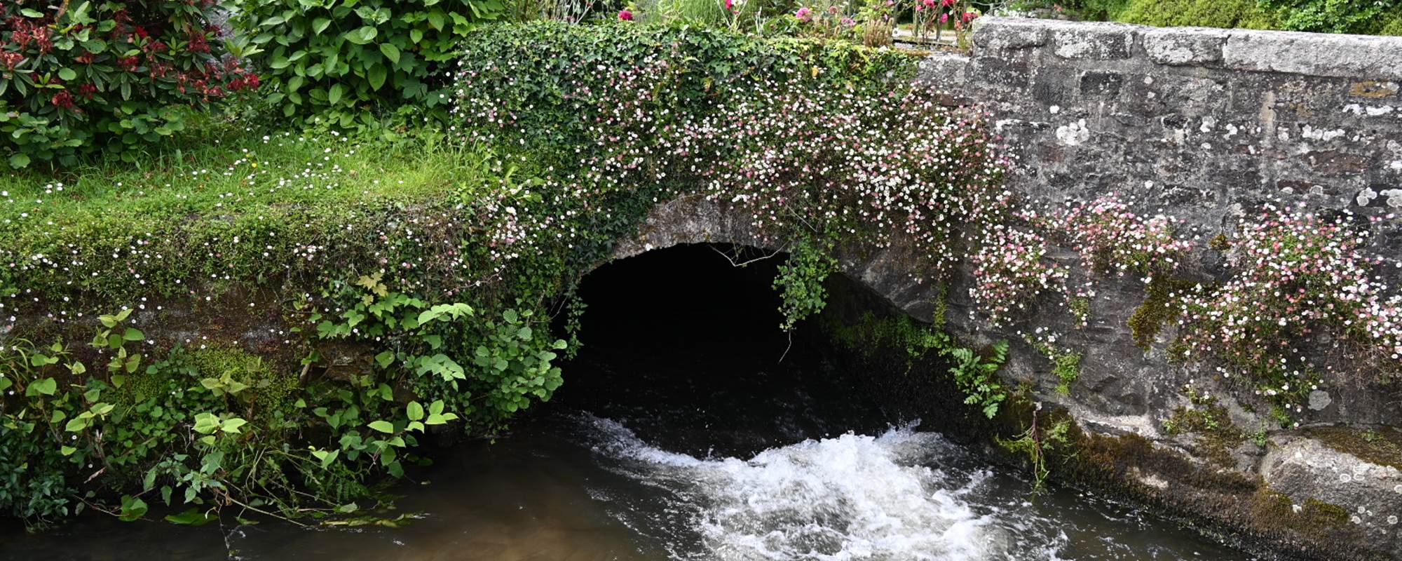 aufildeleau-cotentin-bnb-chambre-hote-le Vast
