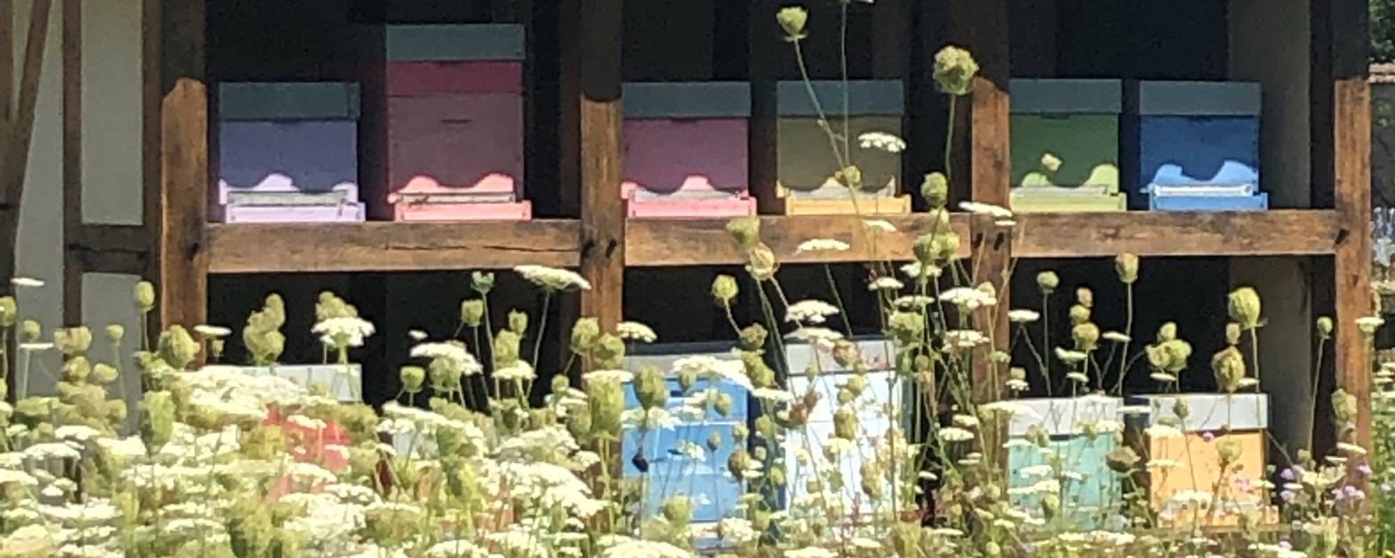 RUCHER DANS LES VERGERS-POTAGERS