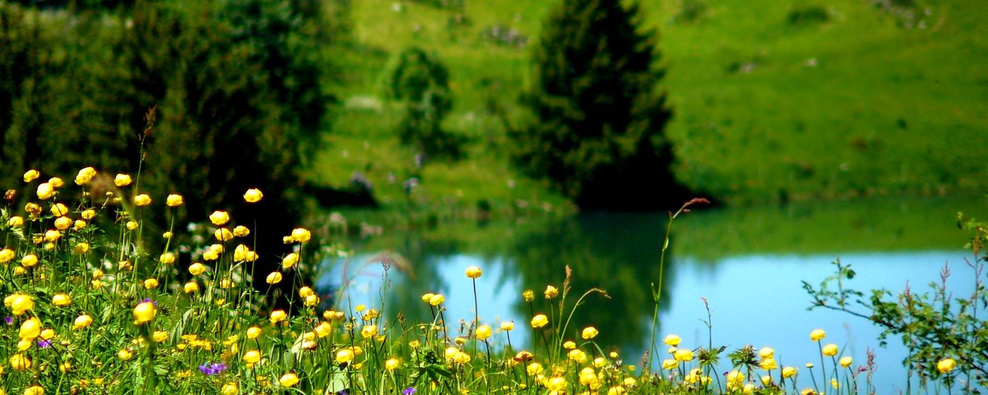 printemps-en-montagne.75288