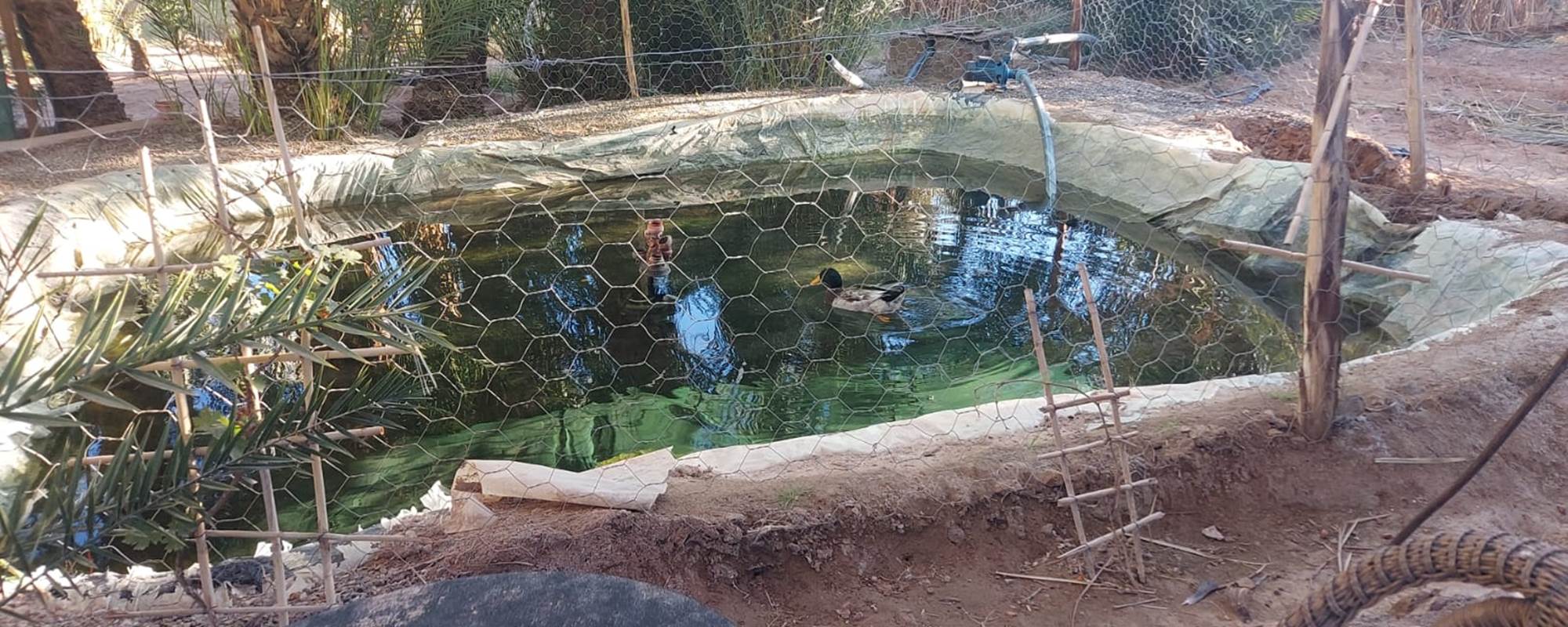 WhatsApp Image 2025-01-21 at 11.56.20