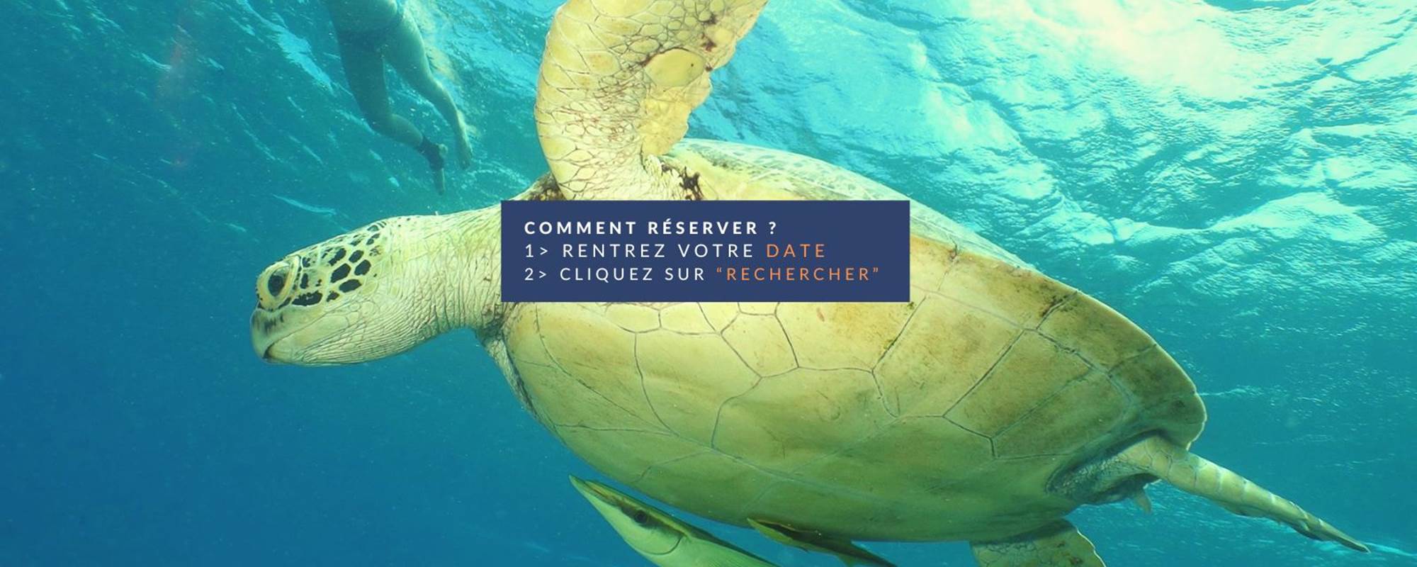 Couverture site RESA (1600 x 1200 px)(2)