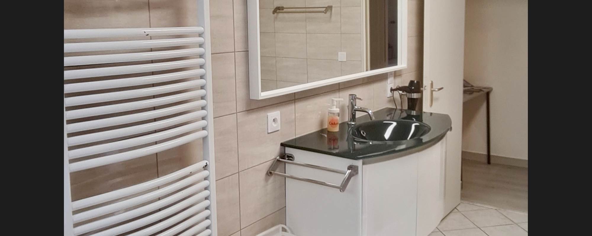 VILLA DU LAC VICHY - salle de bain  douche