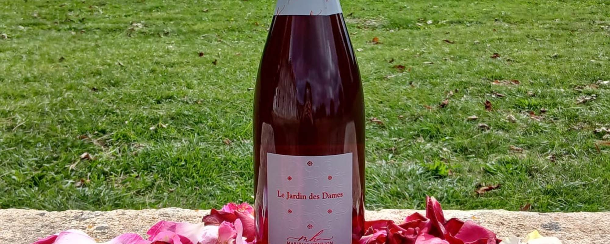 f20d1db9-be12-48d3-9847-5a8c202a7a18