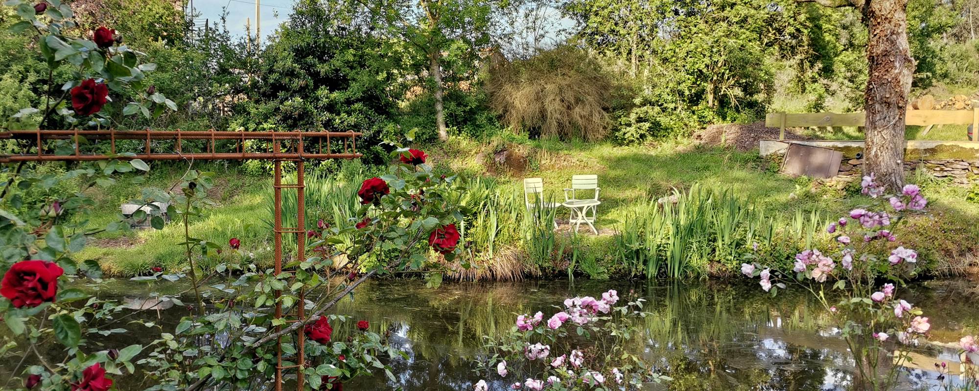 IMG_20230517_191818[1]