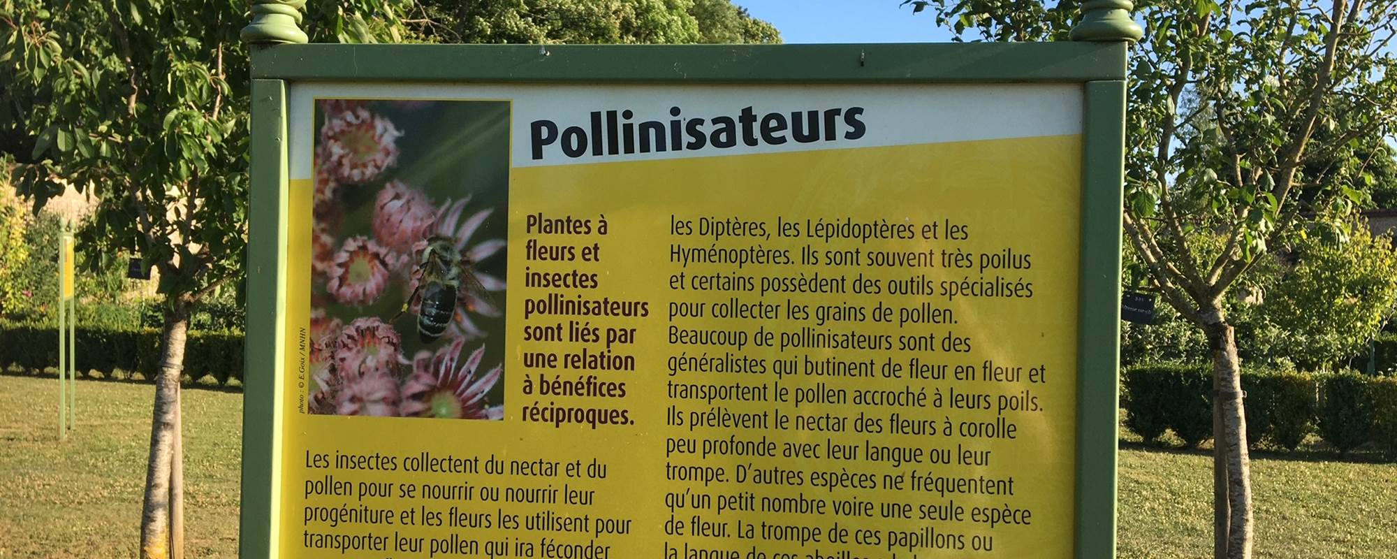 EXPOSITION SUR LA POLLINISATION DANS LES VERGERS